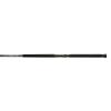 Shimano TERAMAR WC C, Saltwater, Inshore, Spinning, 8'0", Heavy, 1 pcs, (TERWCS80HC) Fishing view 1