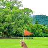 25 Pack Orange Pennant Flags, Blank Solid Flag On Stick, Small Mini Hand Held DIY Flag, Party Decorations,Sports Club,School,Festival Celebration (Orange) view 3