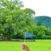 25 Pack Blue Pennant Flags, Blank Solid Flag On Stick, Small Mini Hand Held DIY Flag, Party Decorations,Sports Club,School,Festival Celebration (Blue) view 3
