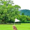 25 Pack White Pennant Flags, Blank Solid Flag On Stick, Small Mini Hand Held DIY Flag, Party Decorations,Sports Club,School,Festival Celebration (White) view 3