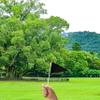 25 Pack Black Pennant Flags, Blank Solid Flag On Stick, Small Mini Hand Held DIY Flag, Party Decorations,Sports Club,School,Festival Celebration (Black) view 3