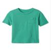 GAP Baby Boys Short Sleeve Pocket T-Shirt Bright Meadow 0-3M view 1
