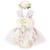 Baby Girl 1st Birthday Outfit Cake Smash Romper Dress Newborn Floral Lace Tulle Boho First Birthday Princess Tutu Dresses + Bowknot Headband Summer Clothes Apricot Floral 2PCS 9-12 Months view 1