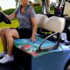 Flashideas Turtles Golf Cart Seat Covers Protective Cushion Durable and Convenient Personalised Graphics Universal Club Car More 2Seater Golf Carts view 3