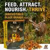 Herron Outdoors 4-4-2 Protein Pellets, Whole Corn & Blaze Orange- Deer Attractants for Whitetail Deer, and Feed Bait for All Hunters All Seasons- 5Ibs (3 Pack) view 2