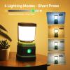 LED Camping Lantern Rechargeable, Consciot Camping Lights, 1000LM, 4 Light Modes, 4400mAh Power Bank, IPX4 Waterproof, Dimmable Tent Lights for Emergency, Power Outages, USB C Cable Included, 2 Pack view 3