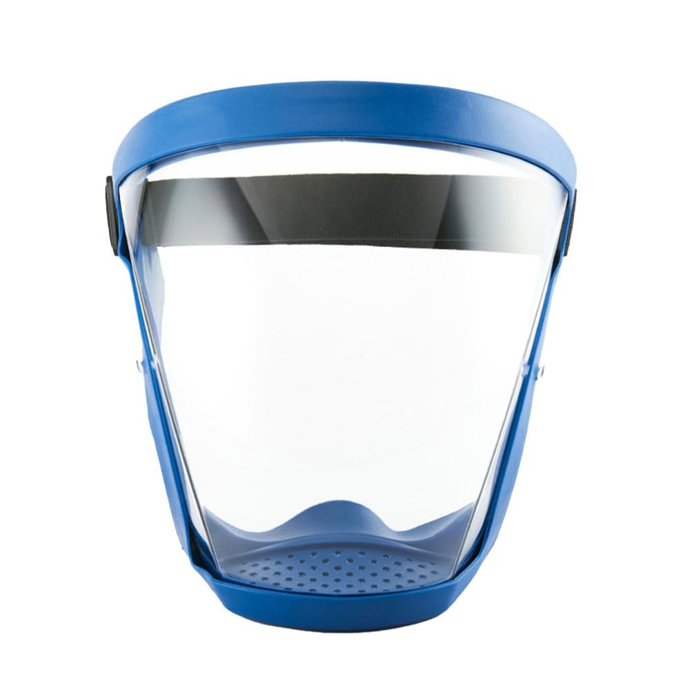 PHILISENMALL Unisex Windproof Full Face Shield Breathable Anti-fog Head Cover for Protection Health