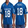 Custom Football Jersey Personalized Team Name & Number Custom Men Replica Jerseys Design 15 view 2