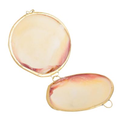 COHEALI Box Shell Jewelry Holder Earring Holder Metal Seashell Figurine Pendant Case Delicate Jewelry Organizer White Child Natural Freshwater Shells Showcase