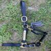 Leaders Leather Halter for Horses with Customized Engraved Name Plate Option Halter for Horse Black/Brass (Large Horse/Oversize) view 3