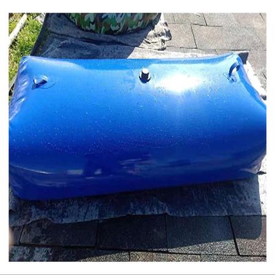 Foldable Water Jerry Can Collapsible Water Container, Portable PVC Large Capacity Water Storage Bag For Outdoor Camping, Hiking, Self Driving, Customizable ( Color : Bl