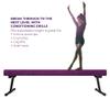 Peakpath 6FT Adjustable&Foldable Gymnastics Balance Beam,Home Gym Equipment,Easy Assembling and Storage,No Tool Require,for Kids Children Girls Training Ages 3-12 view 3