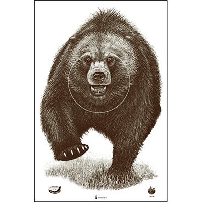 Alaska State Parks Bear Target Rifles Pistols Arrows Hunting Shooting Range Law Enforcement Training Replace Accessories (23 x 35 Inch 100 Pack)