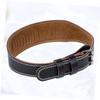 SOESFOUFU Weight Lifting Belt Straps for Men Women Back Support Belt for Squat Hard Pull Hip Thrust (Size) view 3
