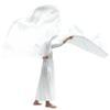 Wuchieal 51'' * 45'' rectangle Worship Flags, silk like Prophetic Worship Banner Praise Flags with Scalable Rods 1 pairs (White) view 4