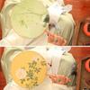 Chinese Folding Fans Hand FansHandheld Folding Fan Female Summer Round Handheld Fans with TasselsHanfu Ancient Style Group FanChinese Style Group Fan Vintage Handheld Folding Fanlo view 3