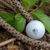 Ball Tatt - Veteran Punisher Golf Ball Stamp, Golf Ball Stamper, Self-Inking Golf Ball Stamp Markers, Reusable Golf Ball Marking Tool to Identify Golf Balls, Golfer Gift Golfing Accessories view 3