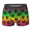 KiHene Men's Boxer Briefs Cool Rasta Color Leaves Underwear Trunks Soft Stretch Sport Breathable Short Leg Underpants view 1