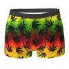 KiHene Men's Boxer Briefs Jamaica Marijuna Underwear Trunks Soft Stretch Sport Breathable Short Leg Underpants view 1