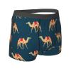 KiHene Men's Boxer Briefs Cute Camel Underwear Trunks Soft Stretch Sport Breathable Short Leg Underpants view 4