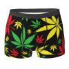 KiHene Men's Boxer Briefs Rasta Color Leaf Underwear Trunks Soft Stretch Sport Breathable Short Leg Underpants view 1