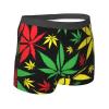 KiHene Men's Boxer Briefs Rasta Color Leaf Underwear Trunks Soft Stretch Sport Breathable Short Leg Underpants view 3