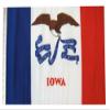 12x18 12"x18" State of Iowa Sleeve Flag Boat Car Garden