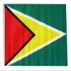 12x18 12"x18" Guyana Sleeve Flag Boat Car Garden