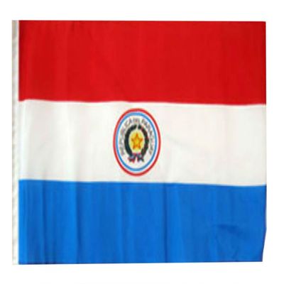 12x18 12"x18" Paraguay Sleeve Flag Boat Car Garden