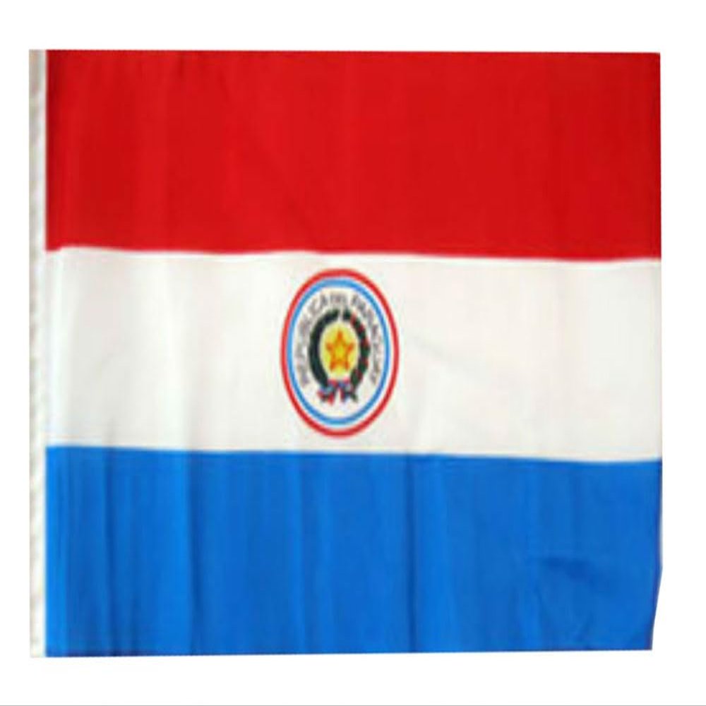12x18 12"x18" Paraguay Sleeve Flag Boat Car Garden