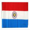12x18 12"x18" Paraguay Sleeve Flag Boat Car Garden view 1