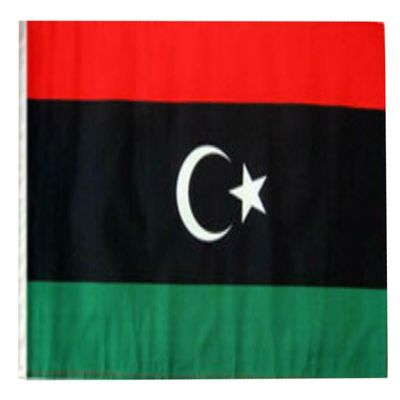 12x18 12"x18" Libya Sleeve Flag Boat Car Garden