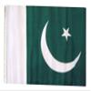 12x18 12"x18" Pakistan Sleeve Flag Boat Car Garden