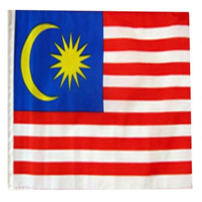 12x18 12"x18" Malaysia Sleeve Flag Boat Car Garden