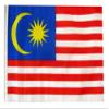 12x18 12"x18" Malaysia Sleeve Flag Boat Car Garden