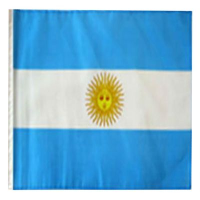 12x18 12"x18" Argentina Sleeve Flag Boat Car Garden (Premium Polyester)