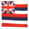 12x18 12"x18" State of Hawaii Sleeve Flag Boat Car Garden view 1