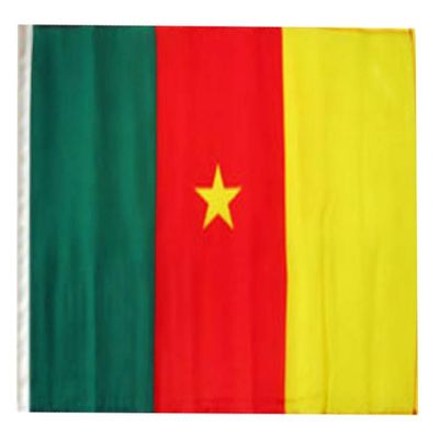 12x18 12"x18" Cameroon Sleeve Flag Boat Car Garden