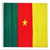 12x18 12"x18" Cameroon Sleeve Flag Boat Car Garden view 1