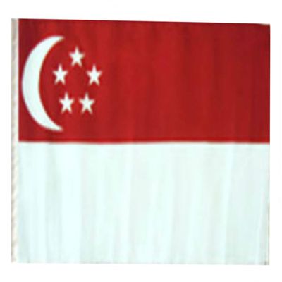 12x18 12"x18" Singapore Sleeve Flag Boat Car Garden