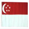 12x18 12"x18" Singapore Sleeve Flag Boat Car Garden