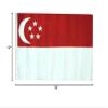 12x18 12"x18" Singapore Sleeve Flag Boat Car Garden view 2