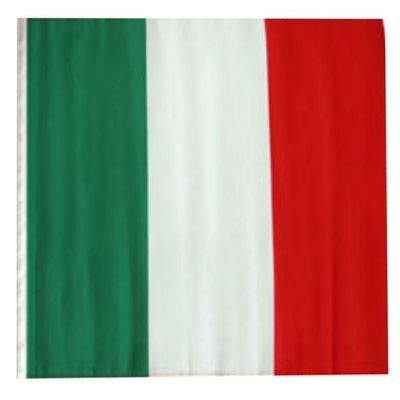 12x18 12"x18" Italy Italian Sleeve Flag Boat Car Garden