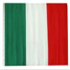 12x18 12"x18" Italy Italian Sleeve Flag Boat Car Garden