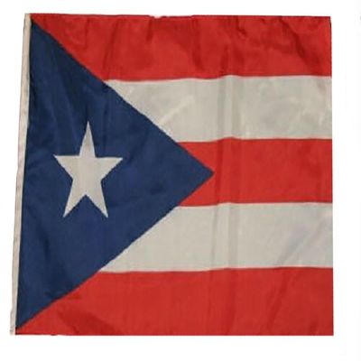 12x18 12"x18" Country of Puerto Rico Rican Sleeve Flag Boat Car Garden