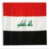 12x18 12"x18" Iraq Sleeve Flag Boat Car Garden