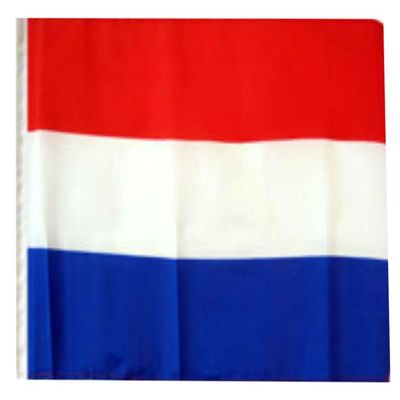 12x18 12"x18" Niger Sleeve Flag Boat Car Garden