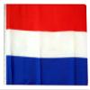 12x18 12"x18" Niger Sleeve Flag Boat Car Garden