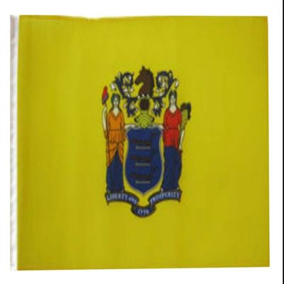 12x18 12"x18" State of New Jersey Sleeve Flag Boat Car Garden