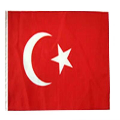 12x18 12"x18" Turkey Sleeve Flag Boat Car Garden
